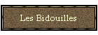 Les Bidouilles